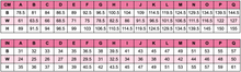 Load image into Gallery viewer, Size Chart GS Blooming Bustier Dress